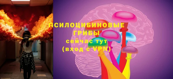 бошки Каменка