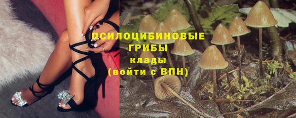spice Каменск-Шахтинский