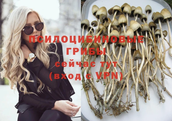 spice Каменск-Шахтинский
