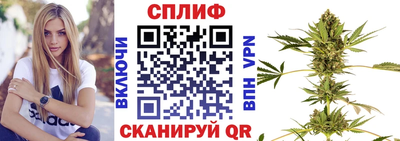 Бошки Шишки VHQ  Лысково 